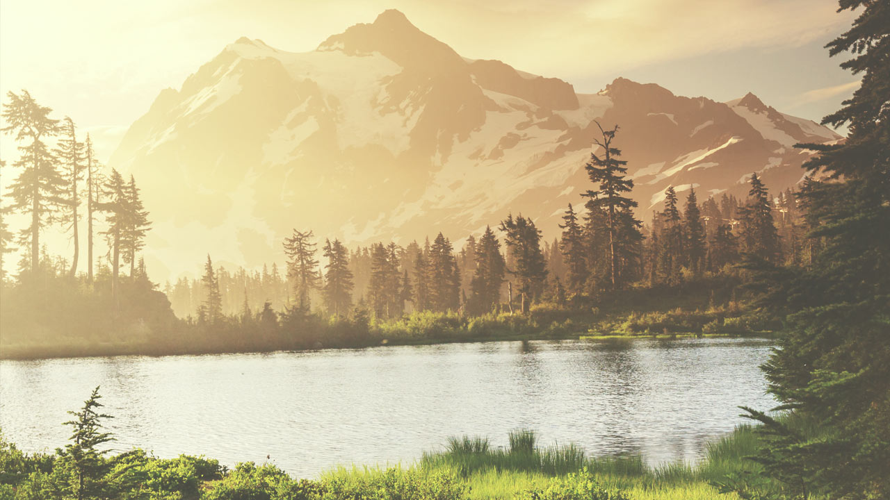 !Standard gallery post (No Header)