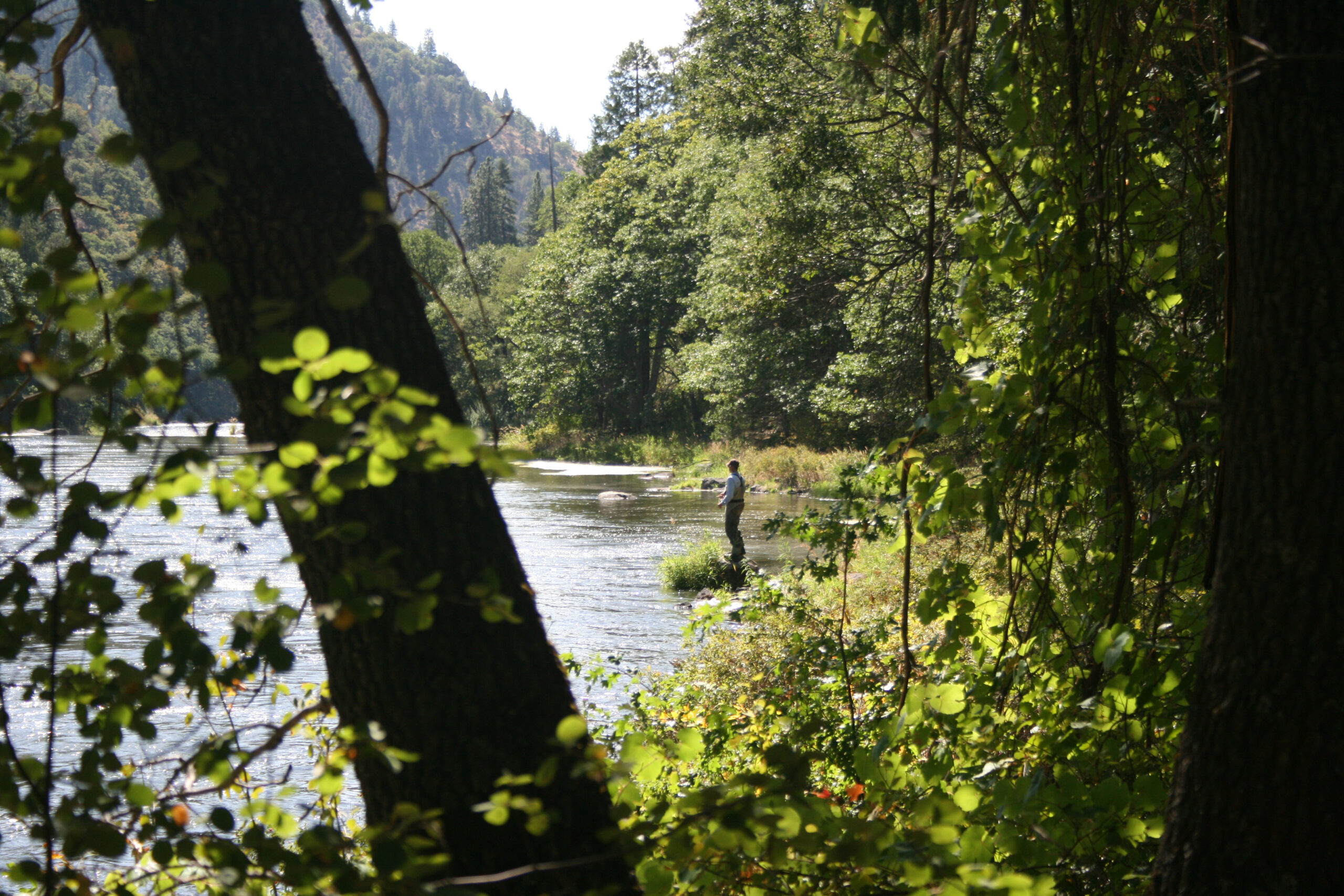 Walk and Wade Oregon