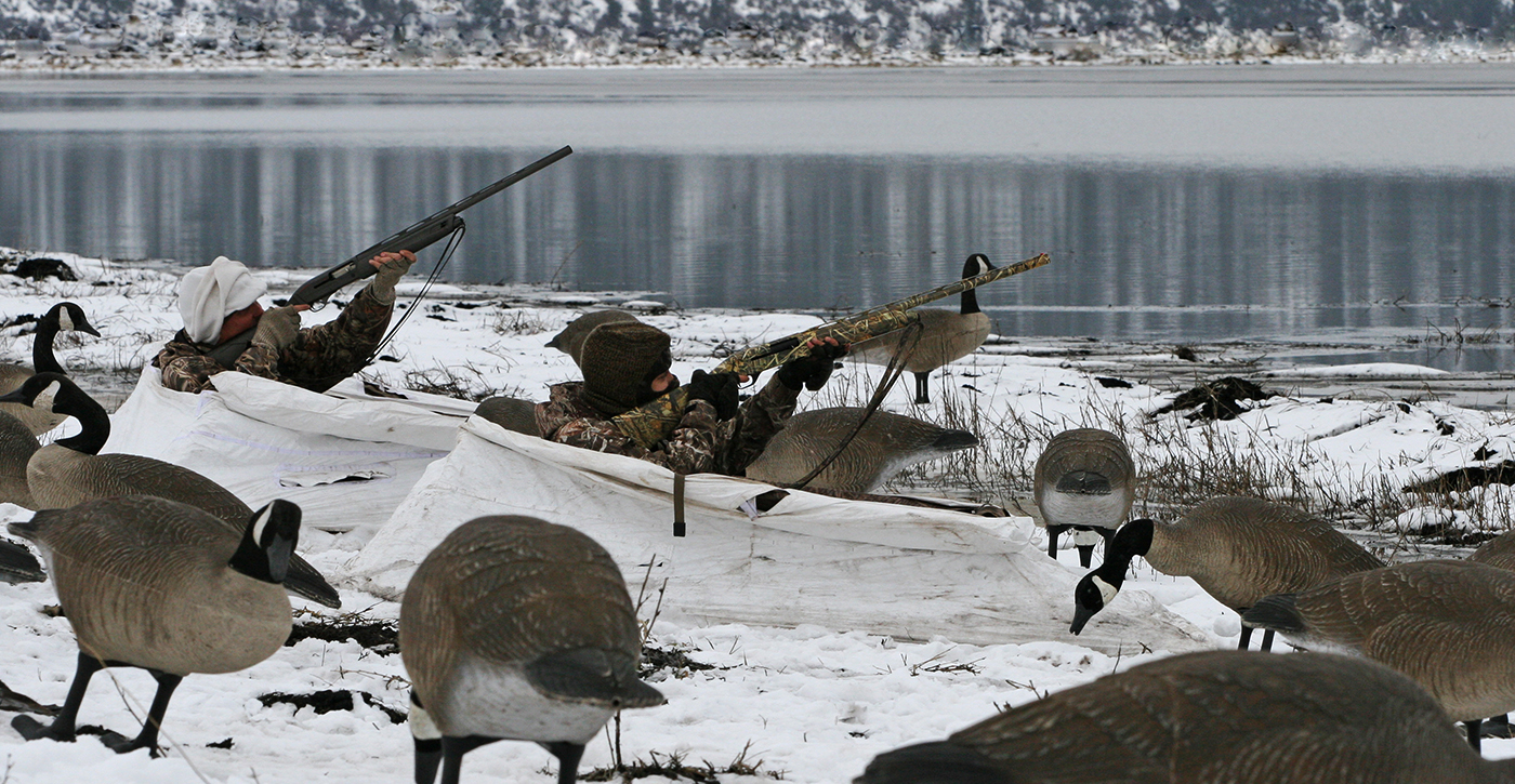 Waterfowl Real Oregon Experience